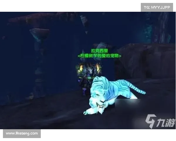 魔兽世界猎人：巅峰伤害秘籍